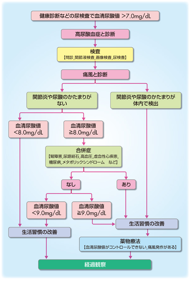 高尿酸血症 痛風の治療 東京都北区西ヶ原 梶原の上中里醫院 高尿酸血症 痛風の治療 東京都北区西ヶ原 梶原の上中里醫院